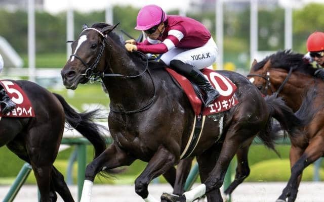 【菊花賞】「ウマ娘」の藤田晋オーナー エリキングでJRA・GI初制覇なるか