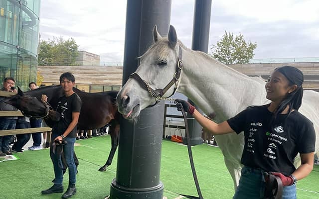 ヒルノダムールとダンカークが“二子玉”に！ Yogibo＆Yogiboヴェルサイユリゾートファームのイベントが開催