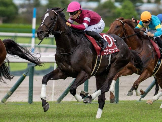 菊花賞予想】クラシック三冠最終戦は前走着順に注目 AIは意外な実績