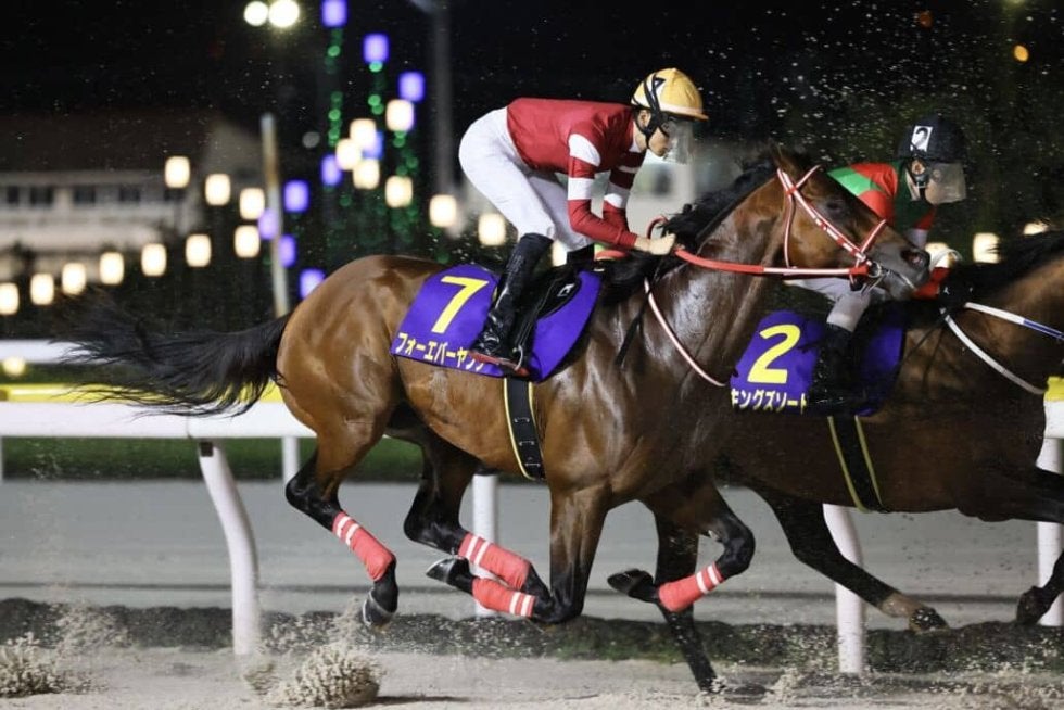 ブリーダーズカップ2025】JRA所属馬7頭が予備登録…フォーエバーヤング