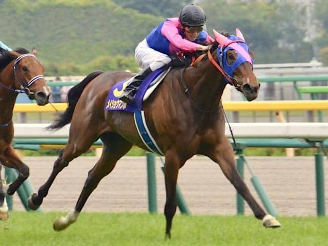 母はGI・3勝のメイショウマンボ メイショウランケイが新馬勝ちなるか