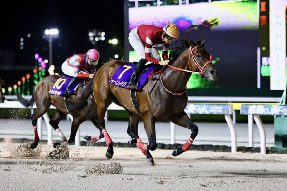 フォーエバーヤング 2025年ブリーダーズカップ 両日セット➕ネックストラップ フォーエバーヤング 2025年ブリーダーズカップ 両日セット➕ネック