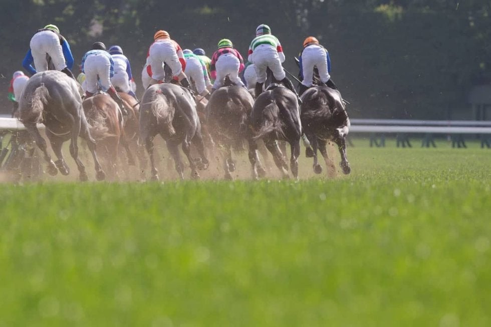 菊花賞／馬場情報】前残り傾向顕著で秋華賞エリカエクスプレスの再現も