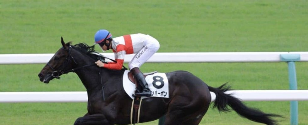 【新馬/京都4R】外国産ダノンバーボンが10馬身差で逃げ切る