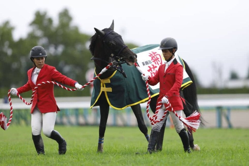 WIN5は7349票の的中…菊花賞はエネルジコが人気に応える | その他競技