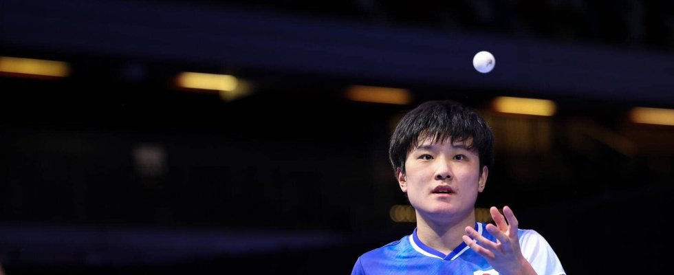 張本智和 兄妹同時Vならず。決勝は各ゲームあと1本が遠くドイツの古豪に惜敗【卓球 WTTロンドン】