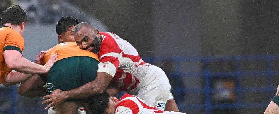 【沢木敬介】タックルは嫌がる膝下狙え！攻撃のカギは正確キック　11・２南アフリカ戦を分析