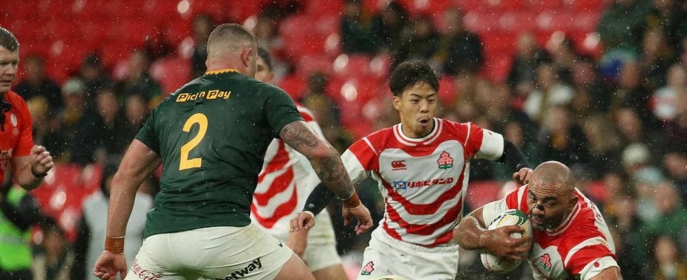 【ラグビー】日本代表、南アフリカに大敗で“金星”再現ならず　エディーHC「歯が立たなかった」