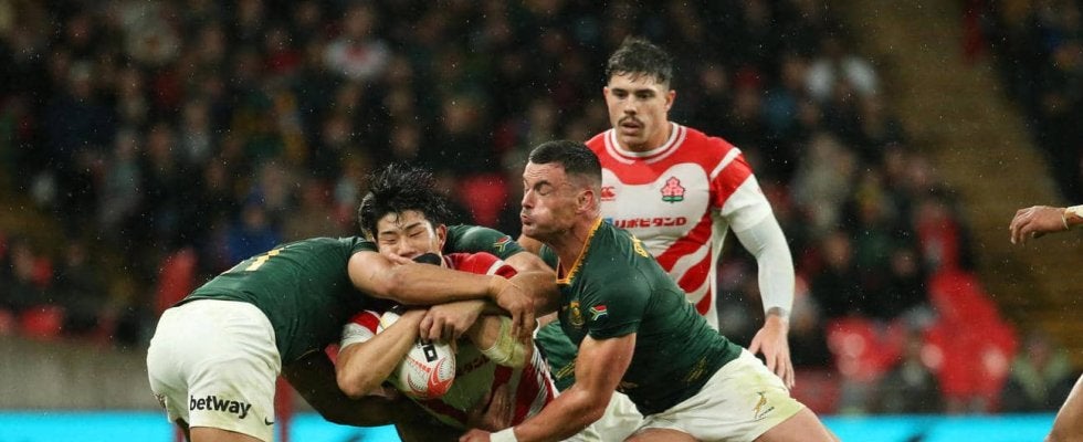 【ラグビー】早大矢崎由高「幸せな時間」も“スター軍団”南アに完敗…思い返した大谷翔平の言葉