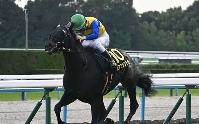 【まほろばS結果】10番人気エアファンディタがゴール前の激戦を制す