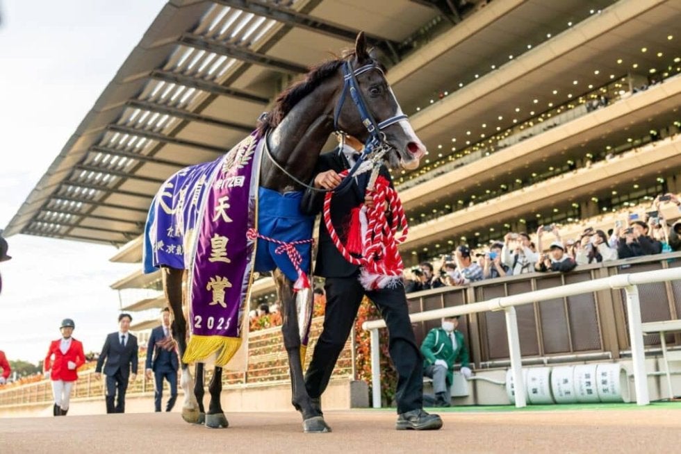 WIN5は713万円超の払戻し…天皇賞・秋はマスカレードボールがV | その他