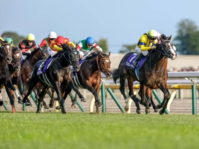 金箔【東ハト/まねき馬倶楽部】 No.182　第116回天皇賞（秋）　未開封 天皇賞(秋)】売上は237億4494万7200円で昨年より約3.8億円増加