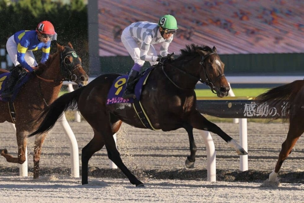 JBCレディスクラシック】武豊「本来のこの馬じゃない」レース後