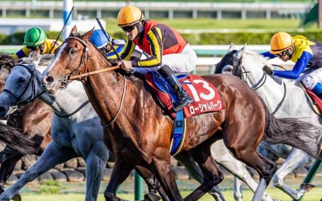 【AR共和国杯】過去10年で7勝 圧倒的ノーザンファーム勢の中で存在感放つ\