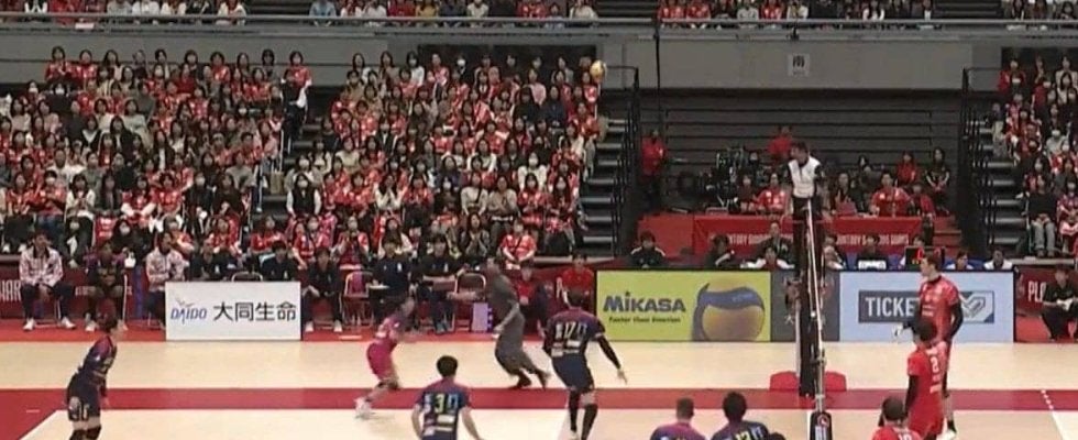 これはマズい！ 逃げ惑うイケメン指揮官…男子バレーで“珍”光景に会場のファンもほっこり