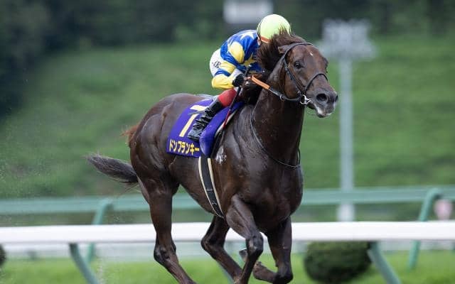 約600kgの馬体を誇るドンフランキーが登録抹消 優駿SSで種牡馬入りの予定