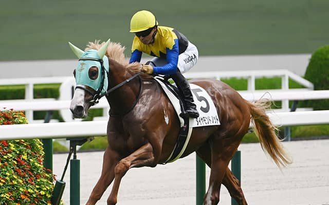 【京王杯2歳S枠順確定】ダイヤモンドノットは5枠10番、レッドスティンガーは8枠16番