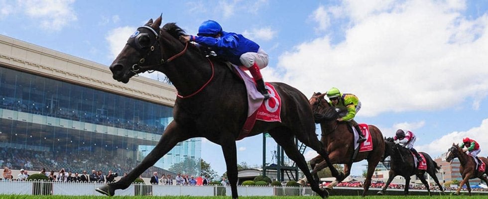 【アルゼンチン共和国杯／データ攻略】スティンガーグラスとホーエリートの「買い or 消し」　“馬券内率85％”該当の鉄板級は