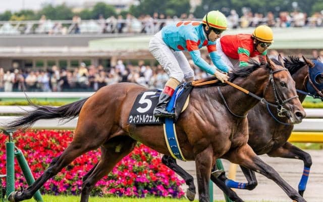 【イクイノックスメモリアル】母はフローラS覇者のウィクトーリア ウィクトルウェルスが4連勝でオープン入りなるか
