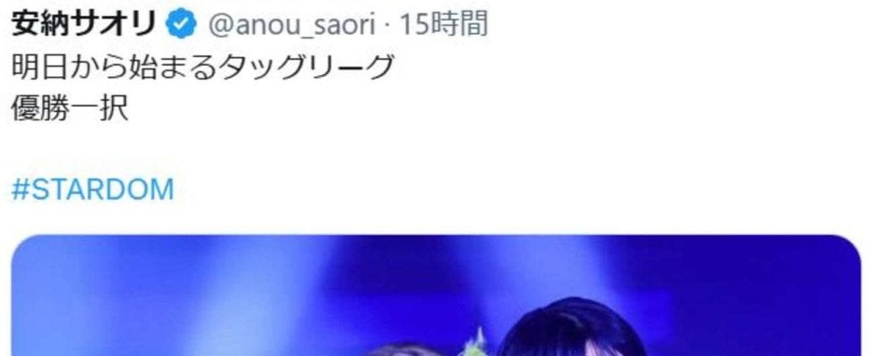 【スターダム】葉月＆コグマがタッグリーグ全休でなつぽい「タッグリーグ開幕戦...誰ぇ」