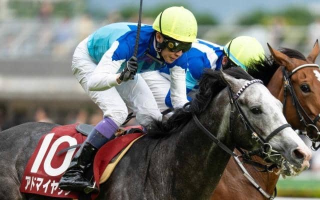 半兄は目黒記念覇者のアドマイヤテラ アドマイヤシュラがデビュー勝ちなるか