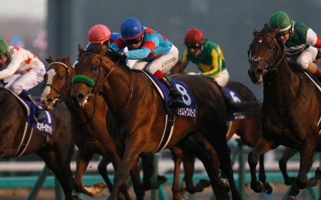 半兄は有馬記念覇者のブラストワンピース アイムインがC.ルメール騎手でデビュー勝ちなるか