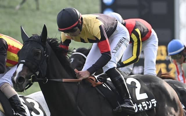 先週末『ザ・ロイヤルファミリー』にSnow Man・目黒蓮さんが登場 放送当日に「黒帽」を買い続けると？