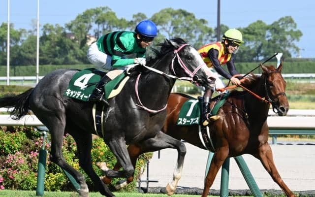 【デイリー杯2歳S想定馬・騎手】キャンディード、ストームサンダーなど12頭