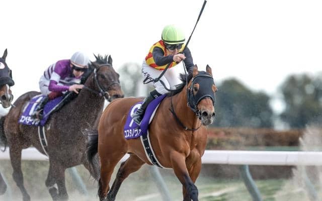 【武蔵野S想定馬・騎手】コスタノヴァ、オメガギネスなど18頭