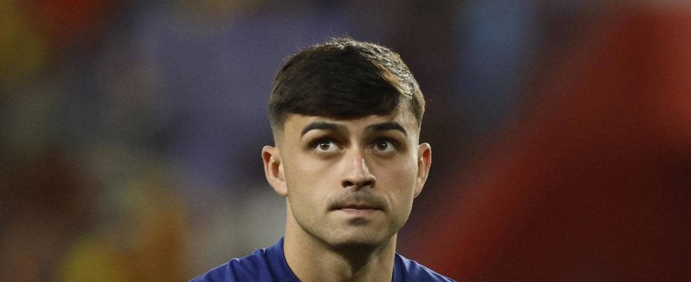 Ｗ杯予選2試合に臨むスペイン代表メンバー発表　ロドリ、カルバハル、ペドリなどが負傷欠場