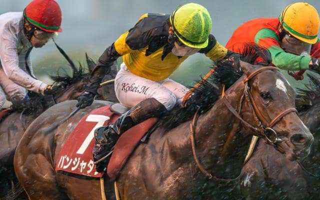 【京王杯2歳S】過去10年データから浮かぶ傾向 安定感ある前走〇〇組に注目