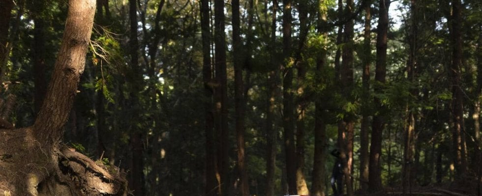 WRCジャパン速報：SS9『Ena 1』はフルモーが連続ベスト、勝田は首位オジエとの差を縮める