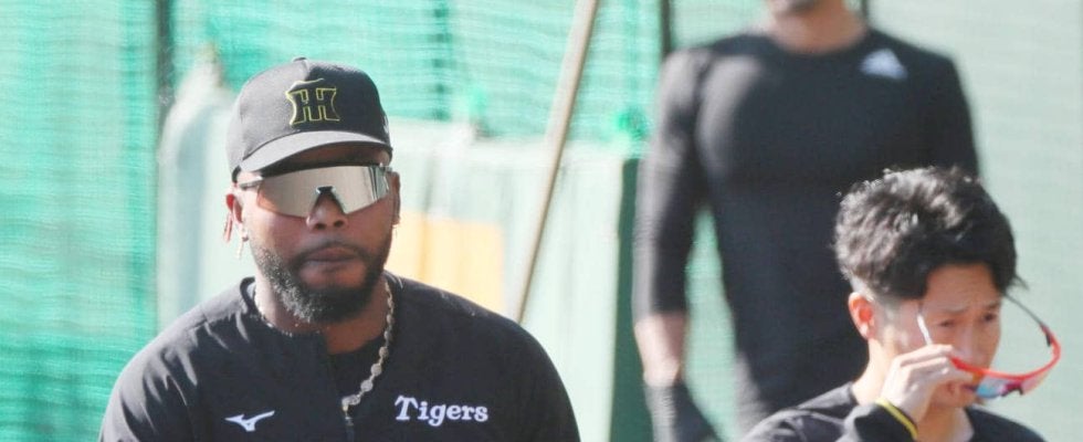 【阪神】藤川監督が熱血指導のドリスに頼もしげ「力のあるベテラン。技術者が教え合うのは普通」