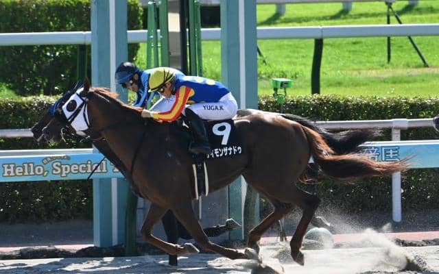 【みやこS予想】前走の好走は様々な面で恵まれたことが要因!? 過去の傾向からも強くは推せない人気馬