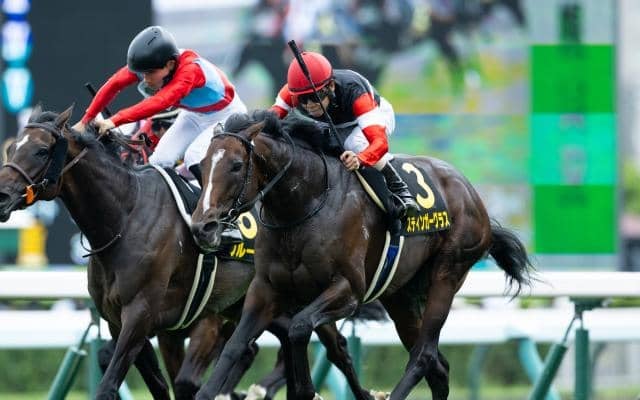 【AR共和国杯予想】前走からの距離短縮は大きなマイナス材料!? 条件にも不安を残す軽視すべき人気馬