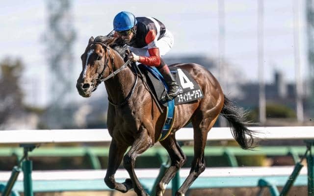 【AR共和国杯前日オッズ】スティンガーグラスが3.3倍で1番人気