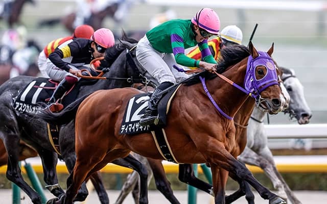 	【AI予想・AR共和国杯】今年は4歳馬が主役になる!? 重賞級のポテンシャルを秘める人工知能の本命馬