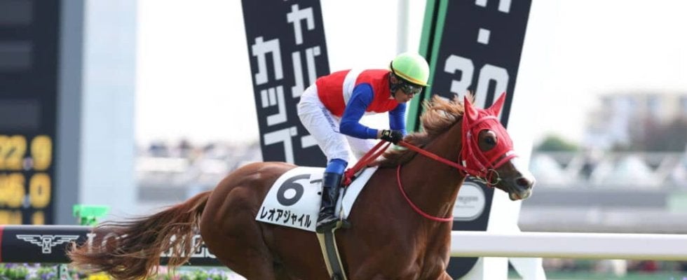 【新馬/東京6R】7番人気の伏兵レオアジャイルがデビュー勝ち