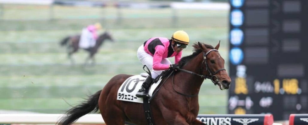 【新馬/東京5R】良血ラヴェニューがデビューV…セレクトセールで1億7000万円の価格