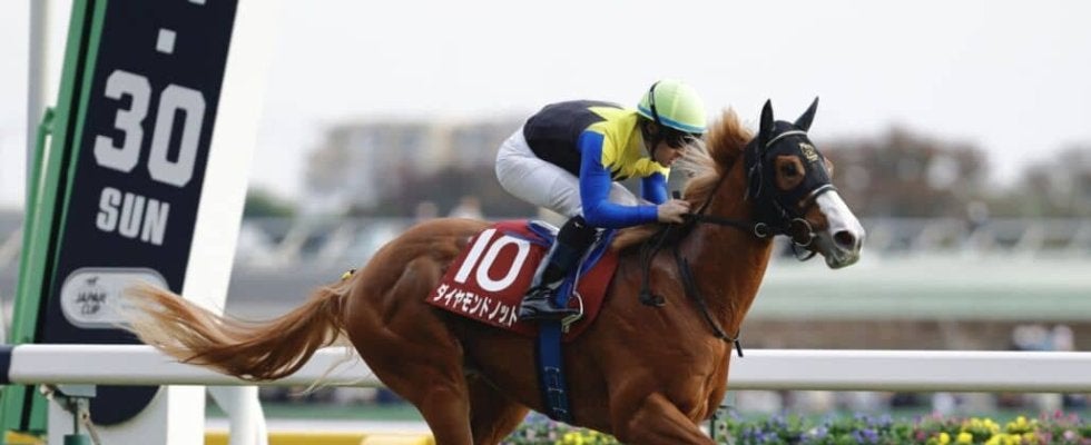 3億円飛び出す…WIN5は1票的中