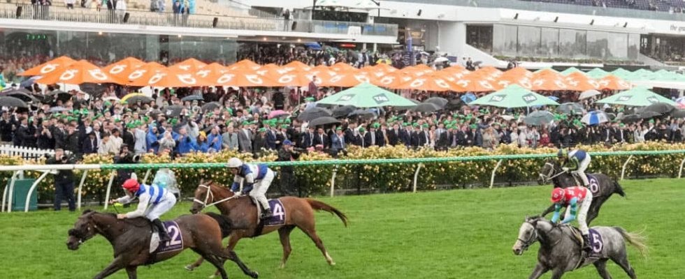 【豪クイーンエリザベスS】ゴールデンスナップは泥んこ馬場でもしぶとく3着…ゴールドシップ産駒らしいスタミナを発揮