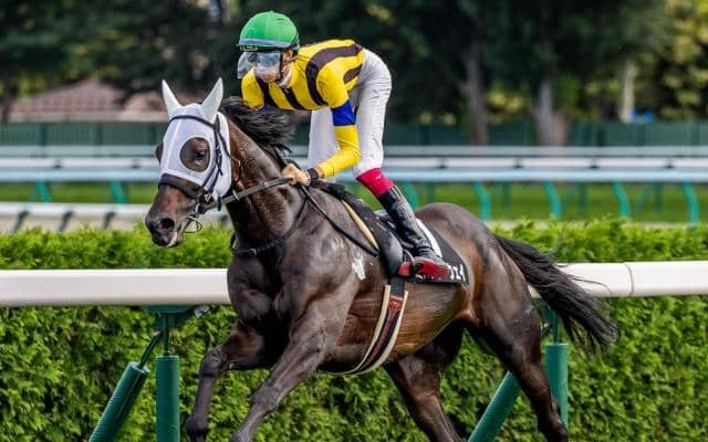 日曜の東京＆京都は道悪必至 トラックバイアスの変化に要注意