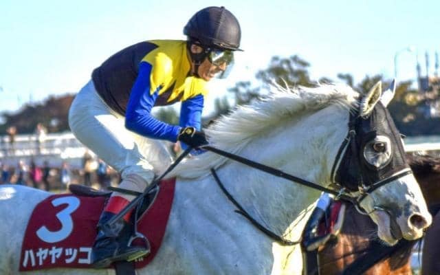 【AR共和国杯】複勝率86%の軸に最適な騎手とは？ 過去10年のデータを分析