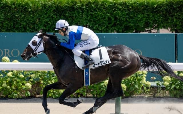 【みやこS予想】チャンピオンズCへの直行切符を手にする馬は