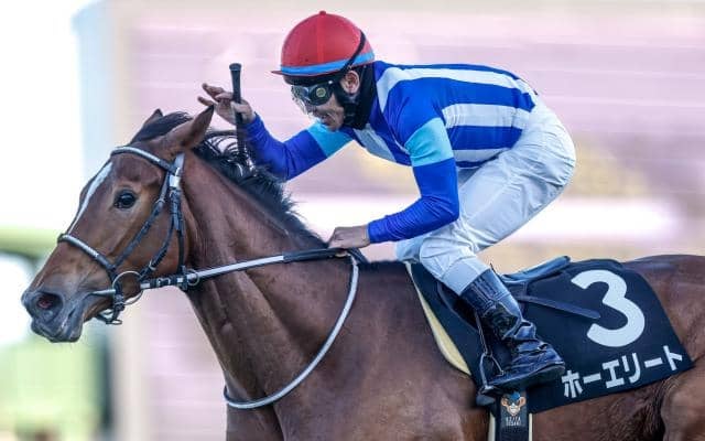 【AR共和国杯予想】タフさが要求されるコース 混戦模様のハンデ戦で一筋縄ではいかず