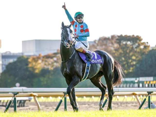 日曜東京10Rは「顕彰馬選定記念イクイノックスメモリアル」 GI・6勝を