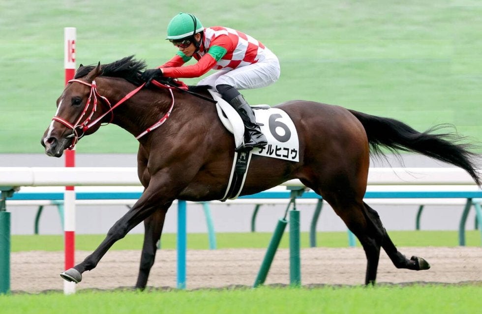 注目馬動向】矢作厩舎のコントレイル産駒テルヒコウは東京スポーツ杯2