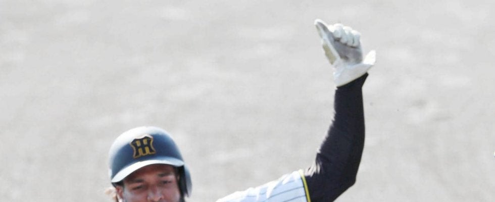 【阪神】「大穴」カリブの大砲にわかに注目　藤川監督が高評価明かす「前に置いてとお願いした」