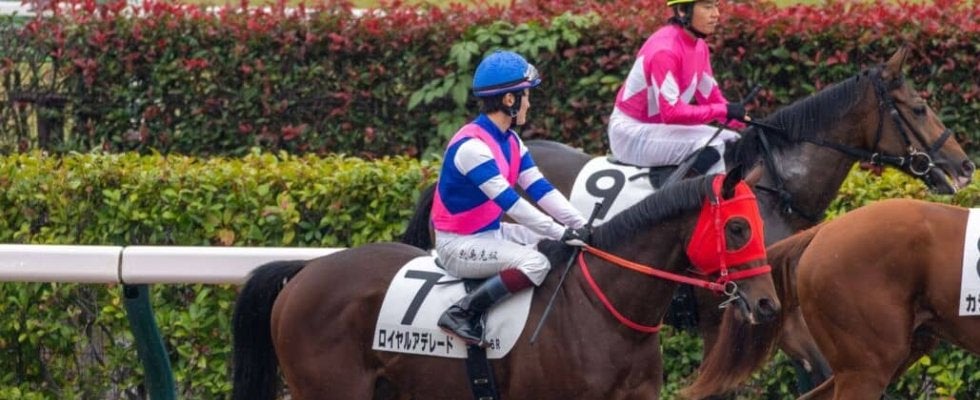 ロイヤルアデレードがデビュー戦で3着“ロイヤル”の名に恥じぬ末脚を披露…日曜劇場で話題