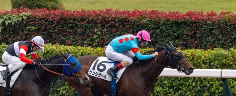 【東京2R】単勝1.4倍サンラザールが人気に応える